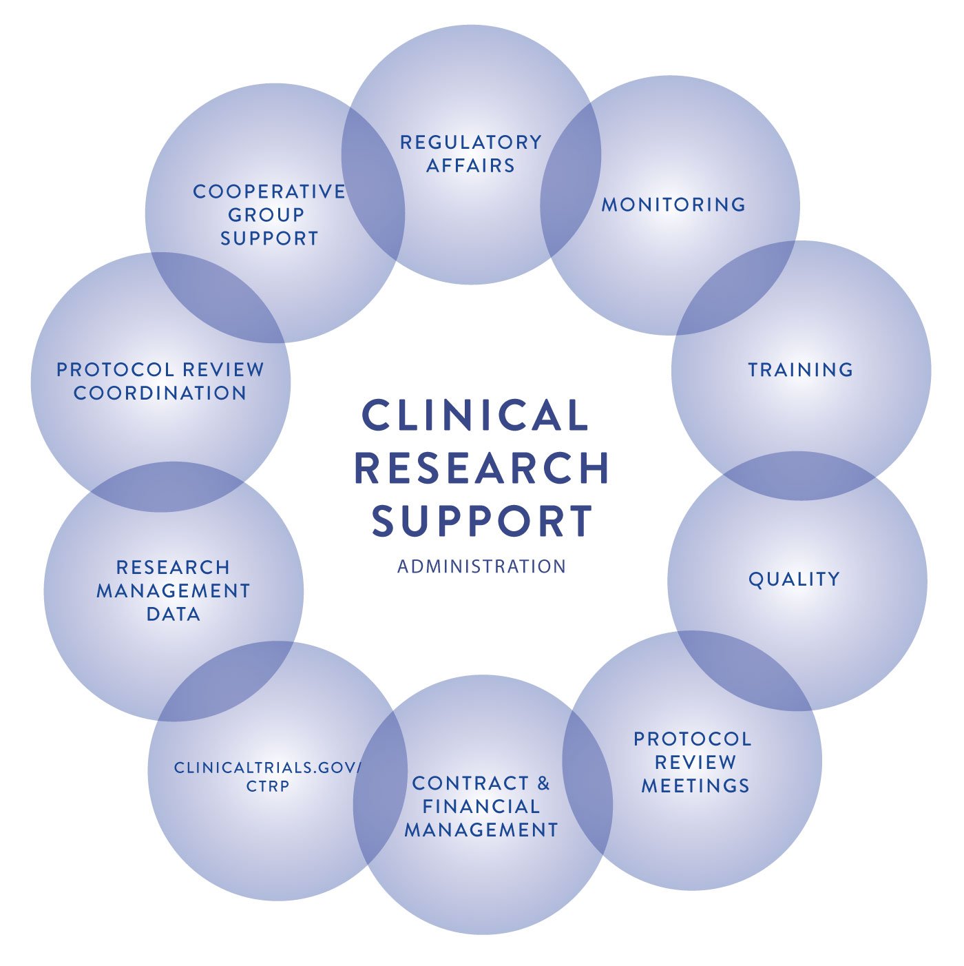 clinical research management software