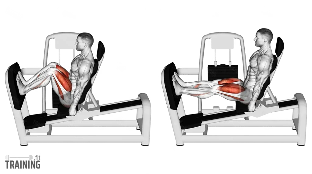 hack squat vs leg press