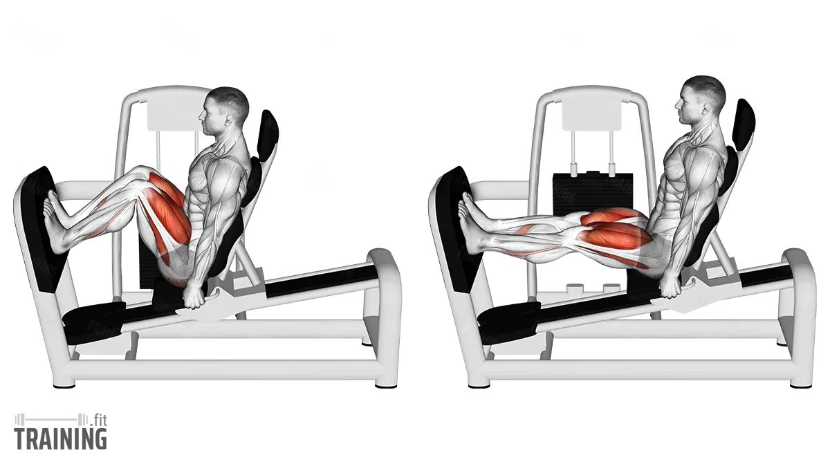 hack squat vs leg press